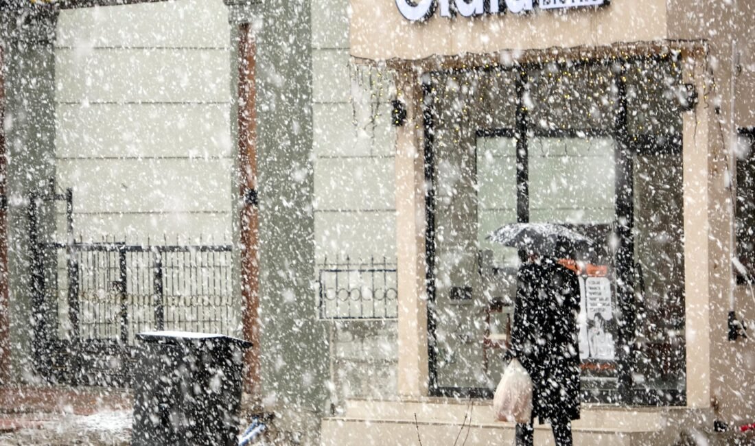 ERCİŞ BEYAZA BÜRÜNDÜ Erciş ilçesinde gece saatlerinde başlayan ve sabah
