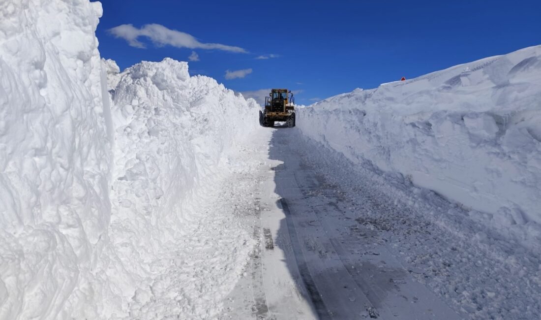 Harun AKSU/BAŞKALE (Van), (DHA)- VAN'ın Başkale ilçesinde kardan kapanan grup