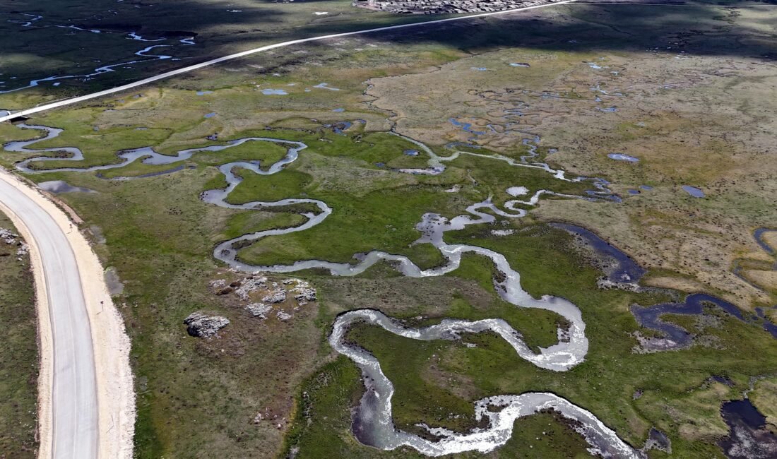 Mutlu YUCA/BOLU,(DHA)-BOLU'da yemyeşil meraların bulunduğu Sarıalan Yaylası'nda eriyen kar suları