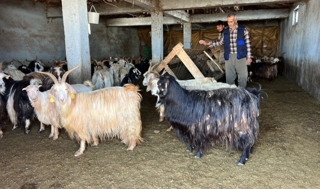 Yaşar KAPLAN/YÜKSEKOVA (Hakkari), (DHA)- HAKKARİ'nin Yüksekova ilçesinde soğuk havanın sürmesi,