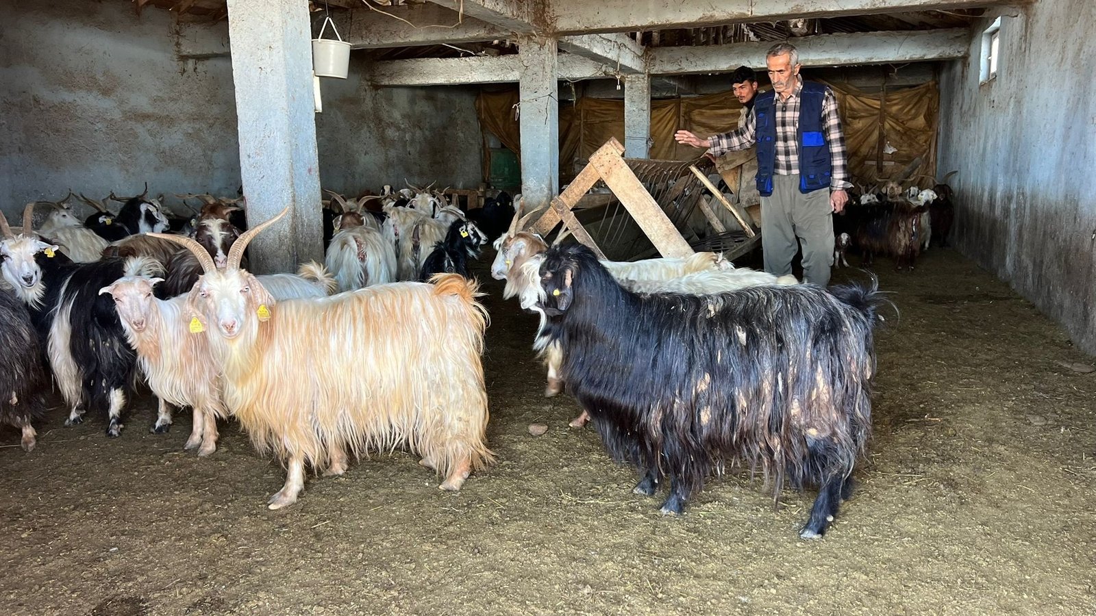 Yaşar KAPLAN/YÜKSEKOVA (Hakkari), (DHA)- HAKKARİ'nin Yüksekova ilçesinde soğuk havanın sürmesi,