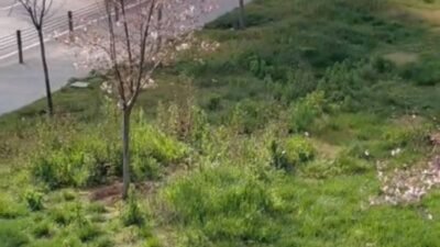 Baran AKKAYA/İSTANBUL,(DHA)-ZEYTİNBURNU’nda seyir halindeki otomobilden yükselen alevler kısa sürede büyüyerek