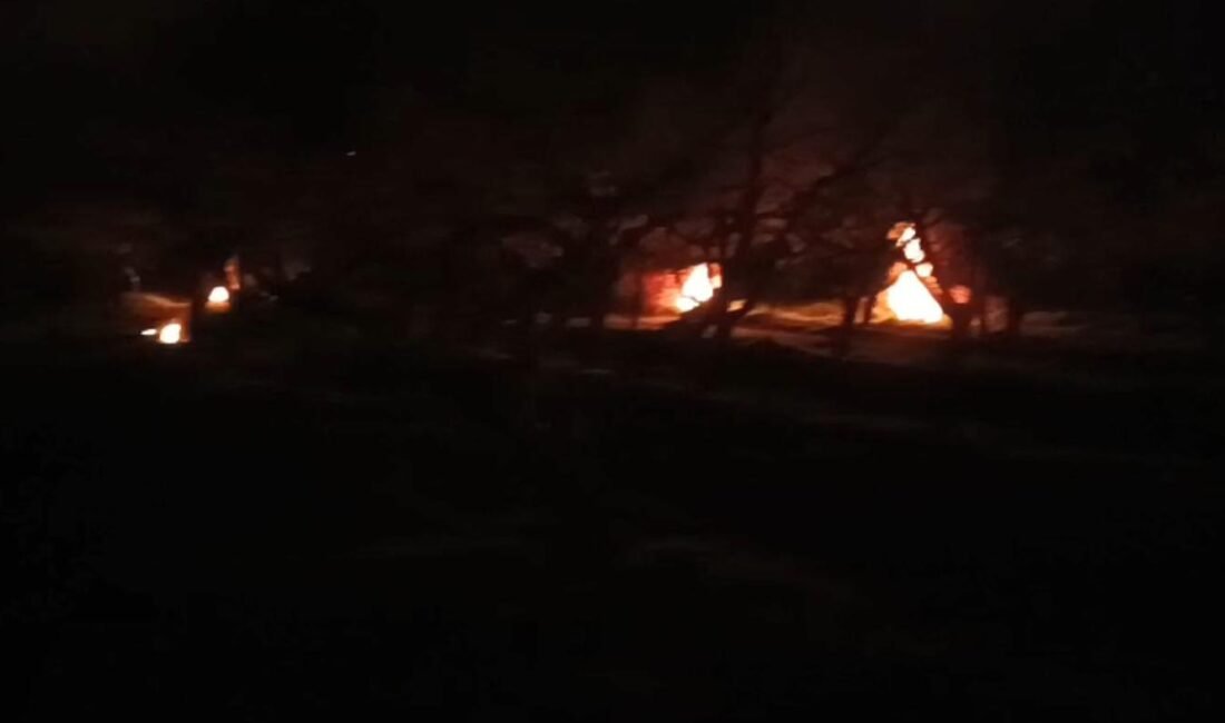 Zirai don riski nedeniyle ateş yakıp, ürünlerini korumaya çalıştılar Oğuzhan EKE/SEBEN (Bolu), (DHA)- BOLU'nun Seben ilçesinde çiftçiler, zirai don