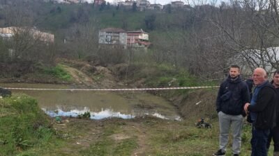 Cem SÜRMENELİ/ALAPLI (Zonguldak), (DHA)- ZONGULDAK’ın Alaplı ilçesinde oyun oynarken gölette
