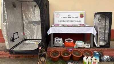 Aytaç ÖZTÜRK/ZONGULDAK, (DHA)- ZONGULDAK’ta jandarma ve polis ekiplerinin yaptığı eş