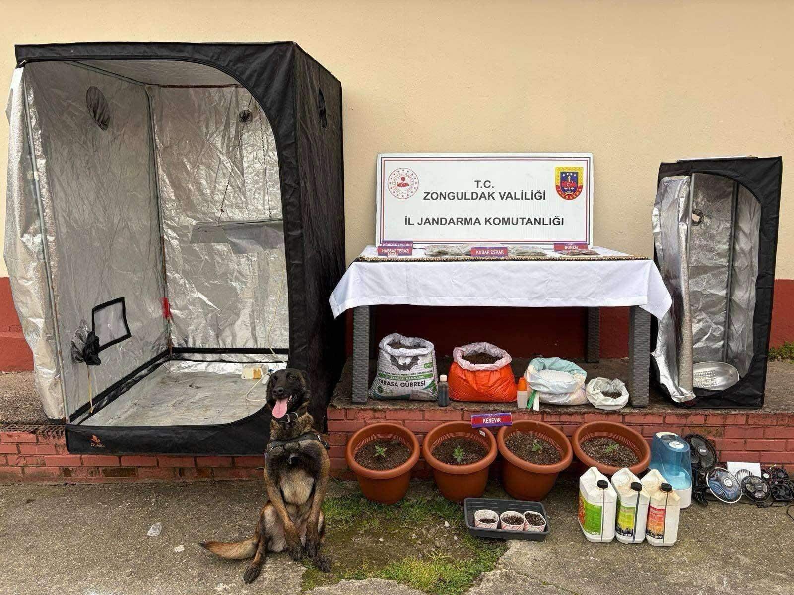 Aytaç ÖZTÜRK/ZONGULDAK, (DHA)- ZONGULDAK’ta jandarma ve polis ekiplerinin yaptığı eş