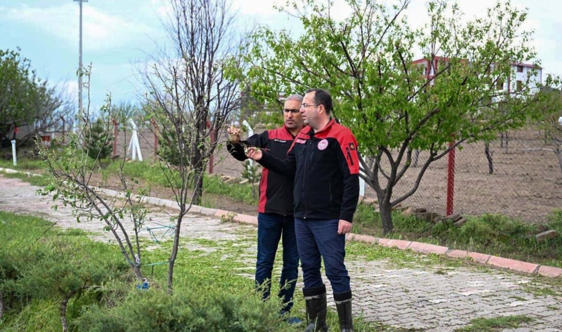 (RHA)- Tarım ve Orman İl Müdürü Bülent Saklav, İncesu ilçesinde