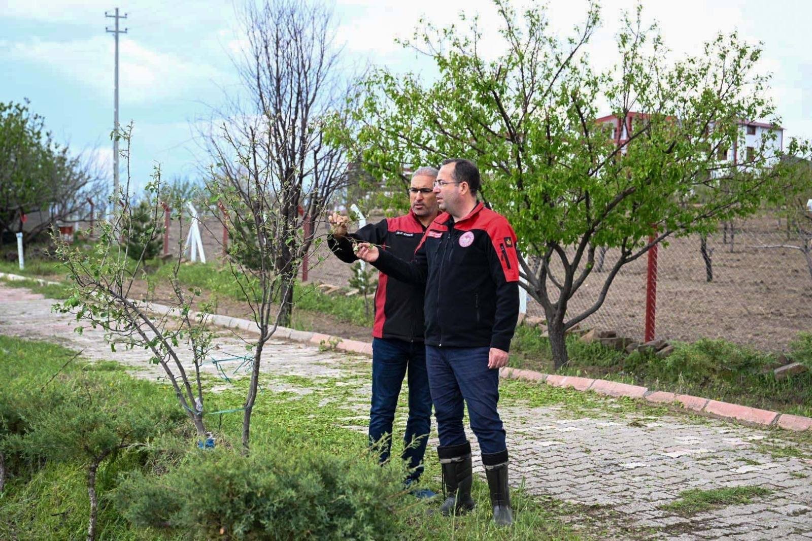 (RHA)- Tarım ve Orman İl Müdürü Bülent Saklav, İncesu ilçesinde