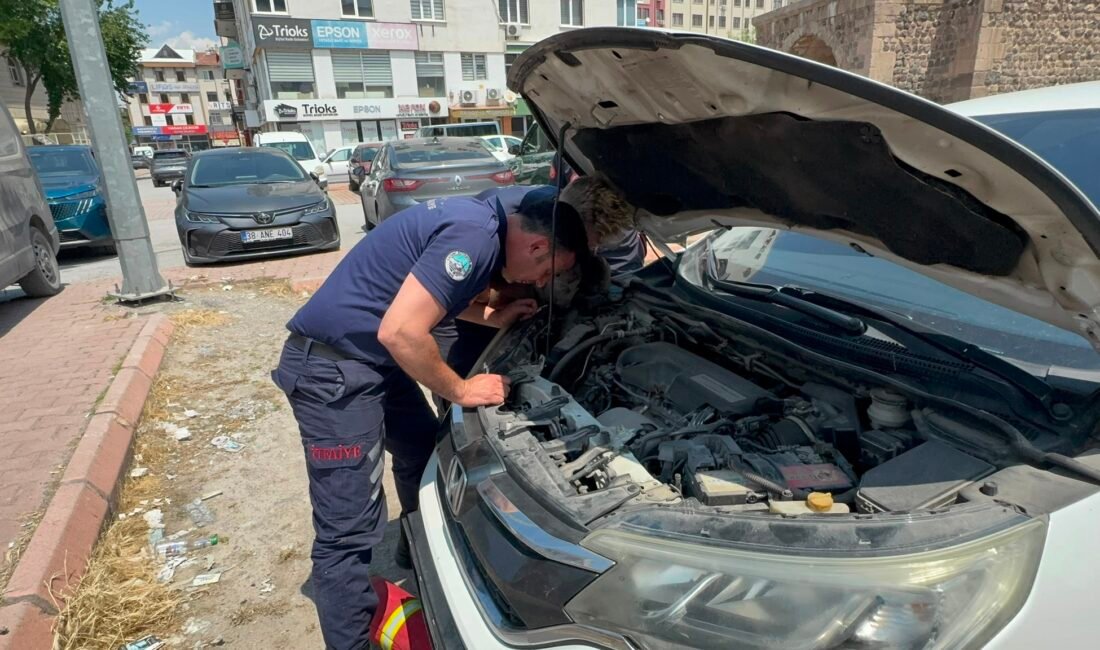 (RHA) – Kayseri’de bir otomobilin motor bölümüne sıkışan kedi, itfaiye