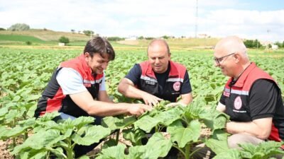 (RHA) – Kayseri Tarım ve Orman İl Müdürü Bülent Saklav,