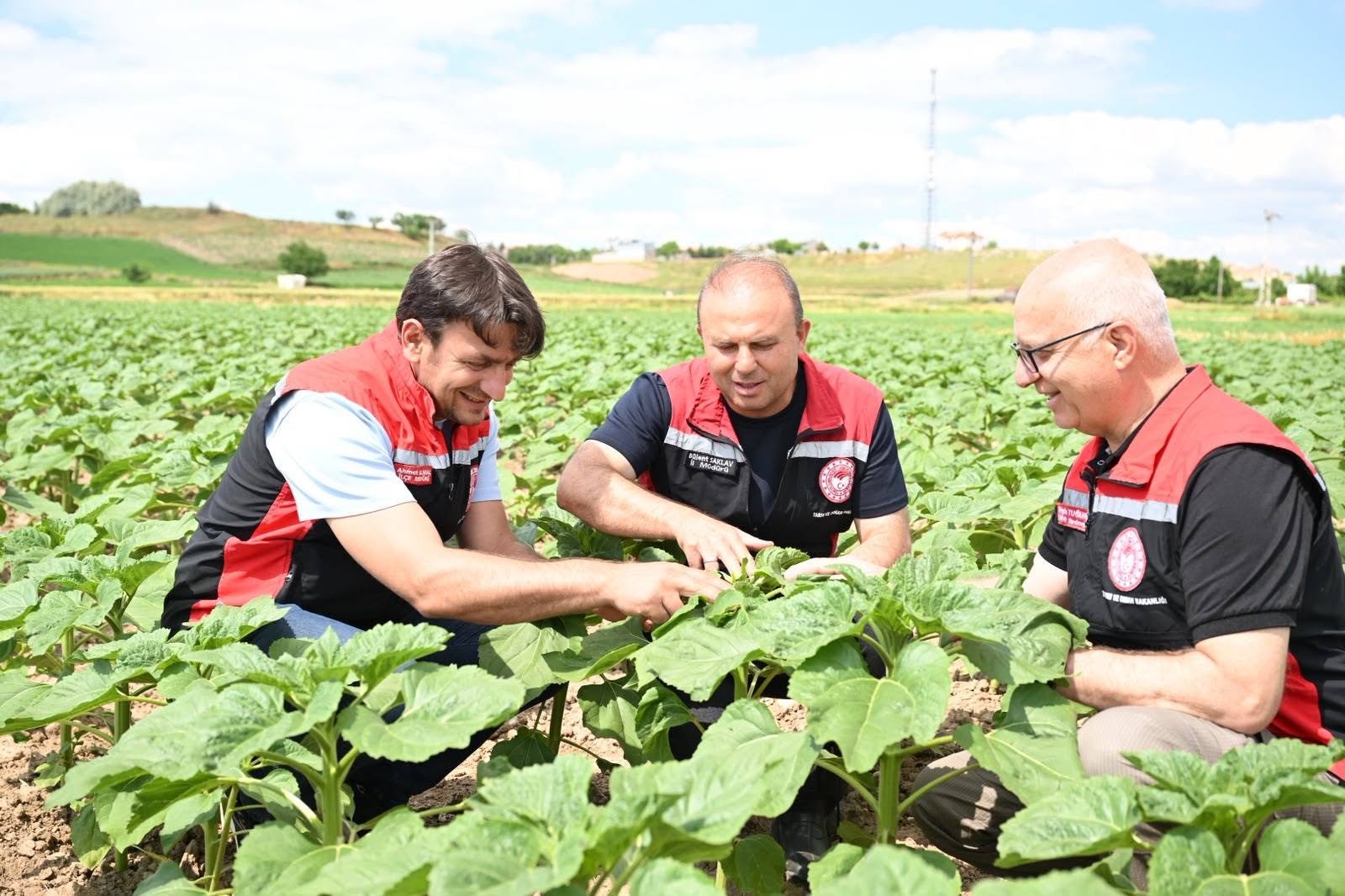 (RHA) – Kayseri Tarım ve Orman İl Müdürü Bülent Saklav,