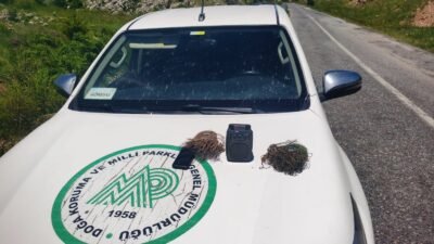 (RHA)- Kayseri’nin Bünyan ilçesinde, Doğa Koruma ve Milli Parklar Şube