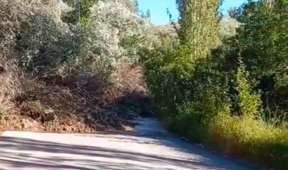 (RHA)- Kayseri’nin Sarıoğlan ilçesindeki Karaözü-Ebulhayır Mahallesi yolunda heyelan meydana geldi.