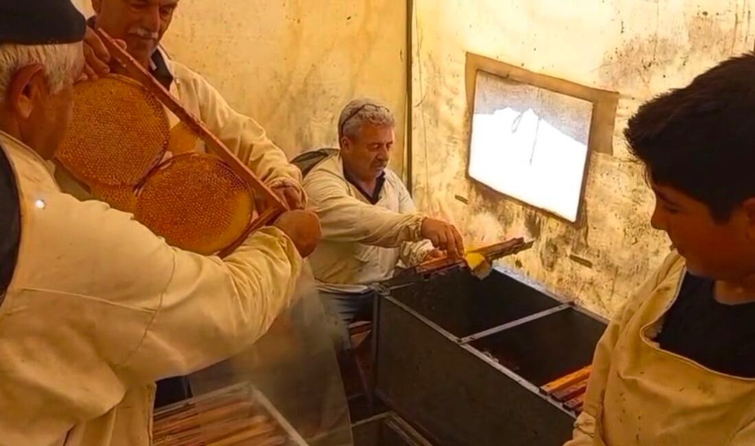 Bünyan’da bal hasadı başladı Kayseri’nin Bünyan ilçesinde bal hasat sezonu başladı. Bal üreticisi Mustafa